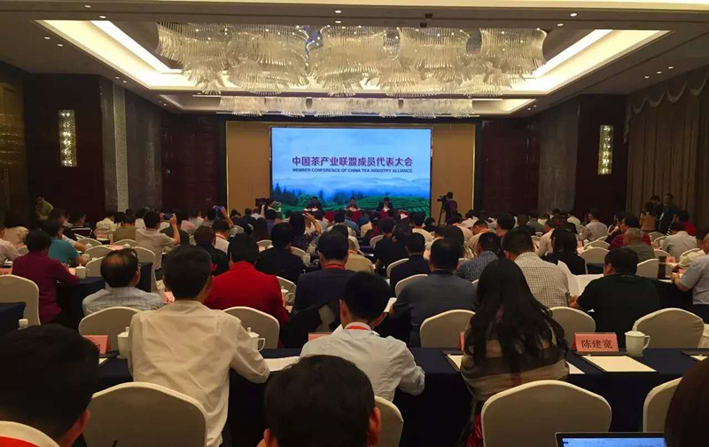 首届中国国际茶叶博览会系列报道之二         B体育（中国）国际平台,B SPORTS入选中国茶产业联盟副理事长单位