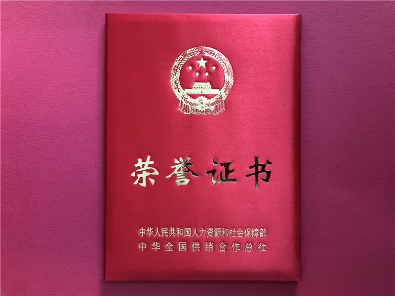 喜讯！B体育（中国）国际平台,B SPORTS连获三项殊荣