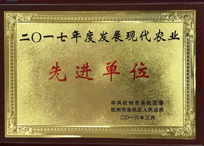 喜讯！B体育（中国）国际平台,B SPORTS连获两项殊荣