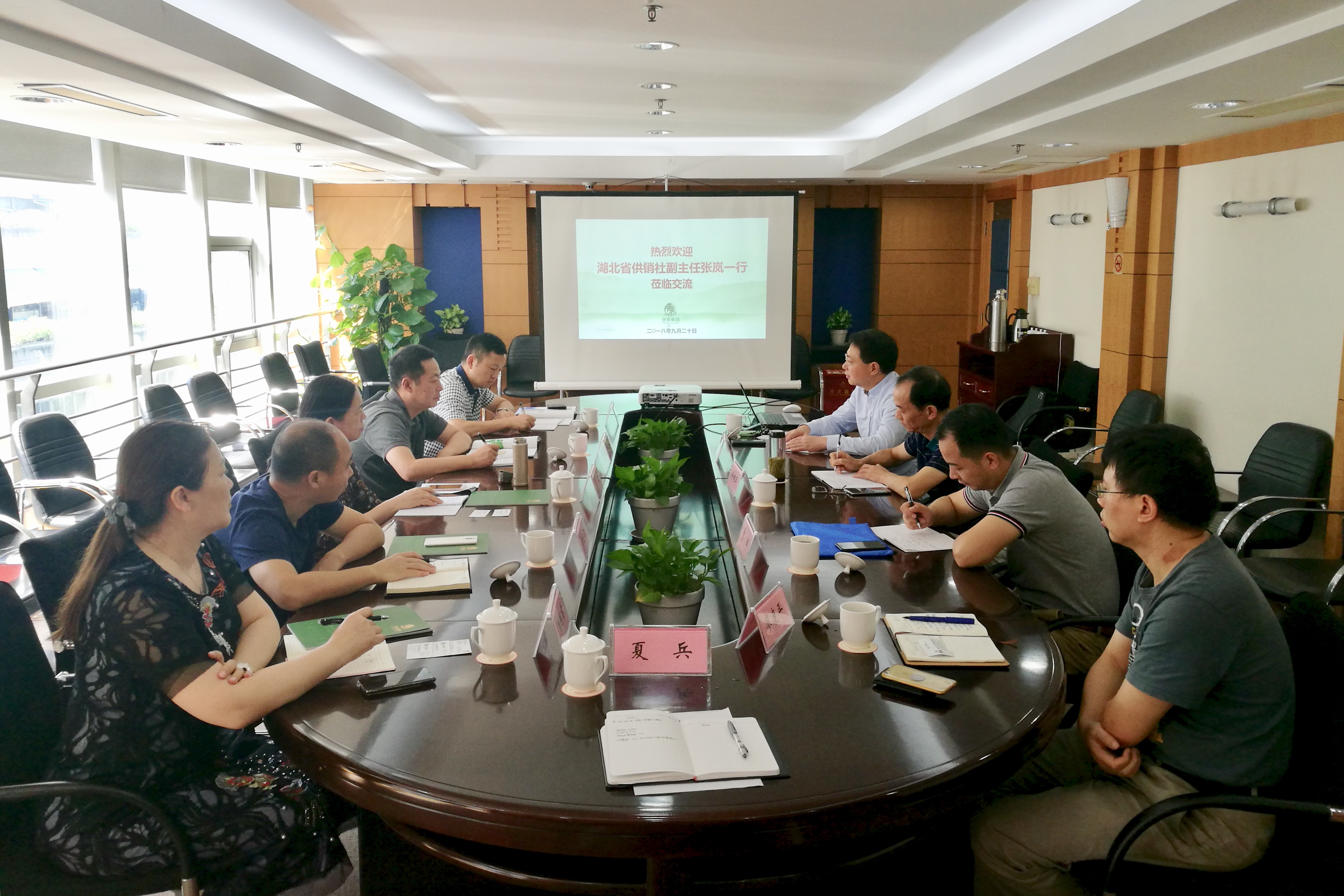 湖北省供销社张岚副主任一行莅临B体育（中国）国际平台,B SPORTS考察交流