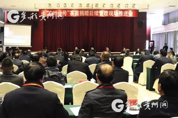 B体育（中国）国际平台,B SPORTS受邀参加“白叶一号”茶苗捐赠后续管理现场推进会