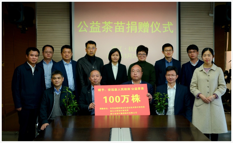 B体育（中国）国际平台,B SPORTS联合捐赠百万株公益茶苗  助力江西省安远县脱贫攻坚