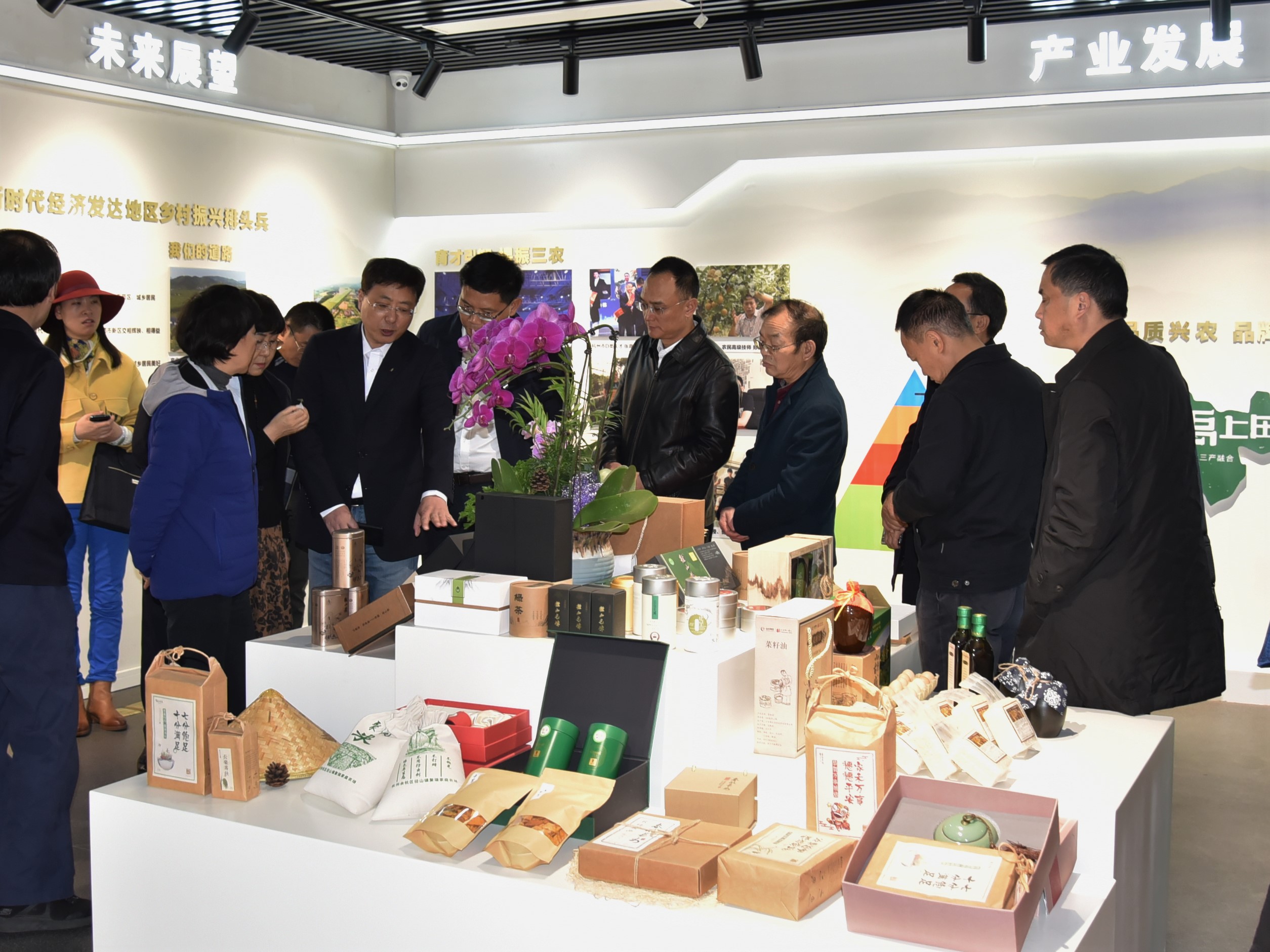 四川省政协副主席祝春秀一行考察B体育（中国）国际平台,B SPORTS茶博园