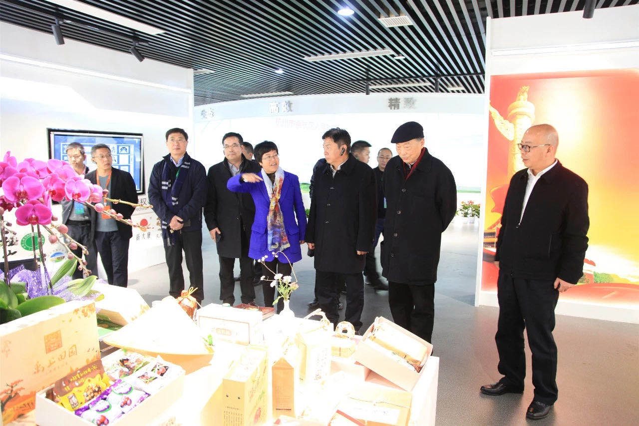 2019中国乡村振兴暨首届“一带一路”农业农村发展论坛嘉宾参观B体育（中国）国际平台,B SPORTS九宇有机茶博园