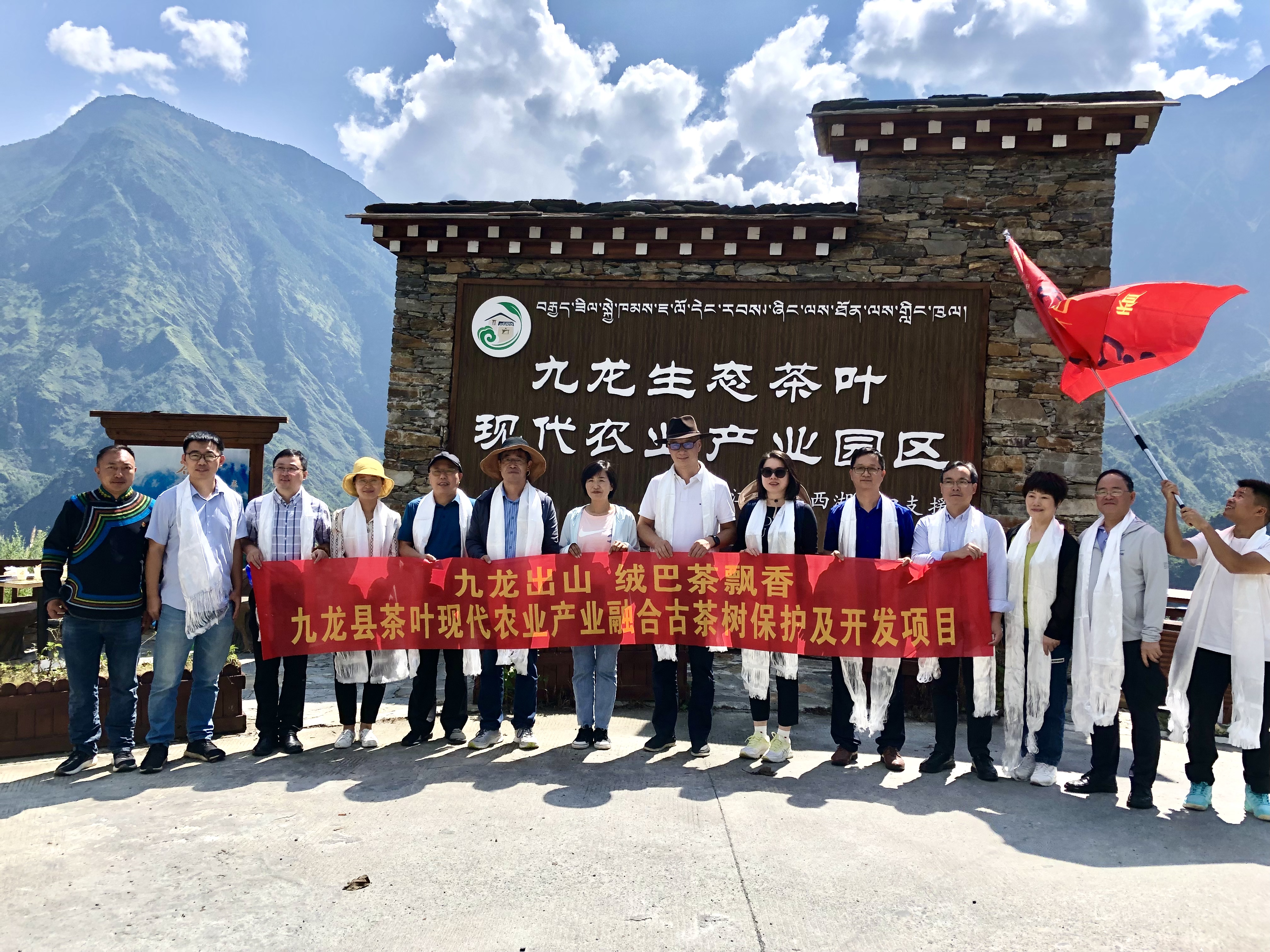 九龙出山·绒巴茶飘香——B体育（中国）国际平台,B SPORTS牵头实施九龙县茶叶现代农业产业融合示范项目古茶树保护及开发项目